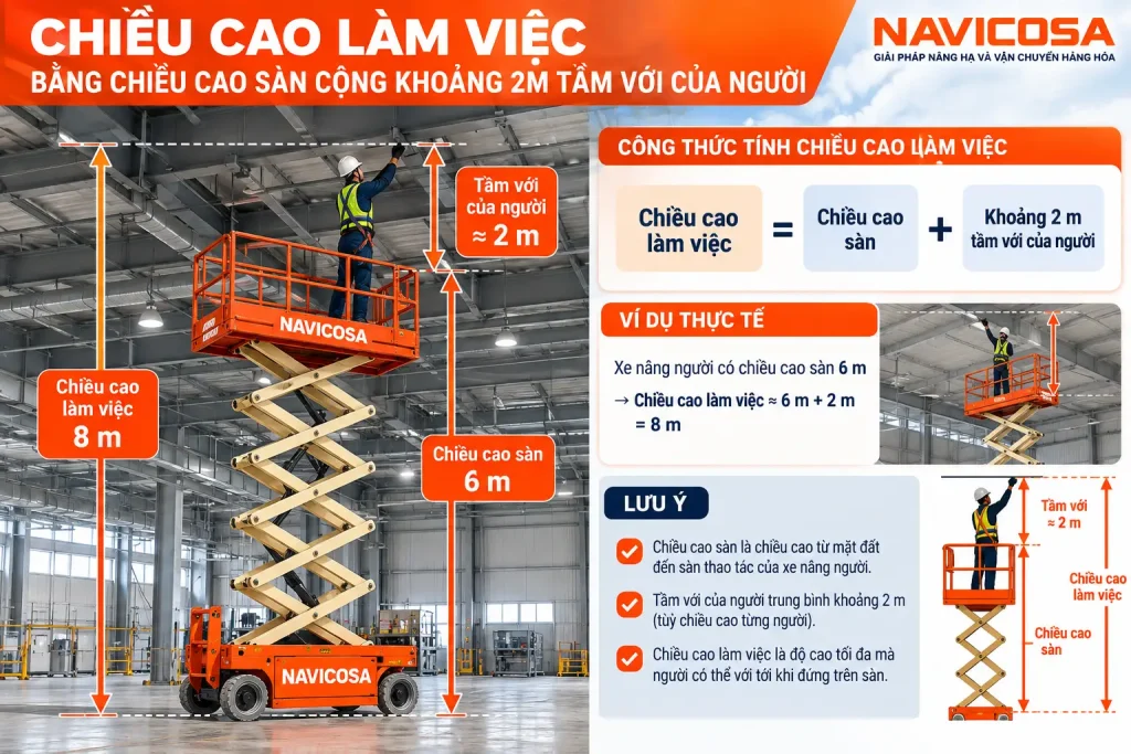 chieu cao lam viec va chieu cao san xe nang nguoi
