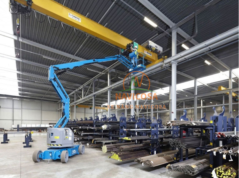 cho thue xe nang nguoi tai Long Thanh