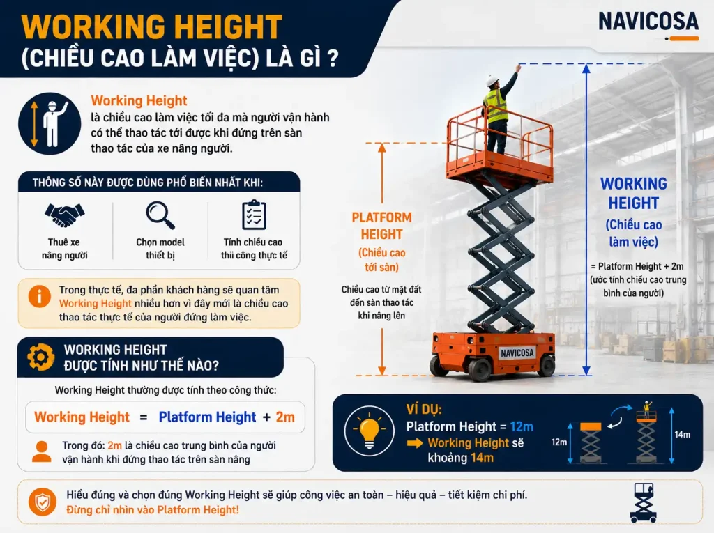 Working Height - Chieu cao lam viec